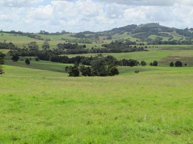 300 Gumtown Road Kamo_2