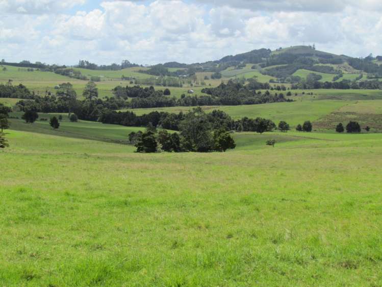 300 Gumtown Road Kamo_2