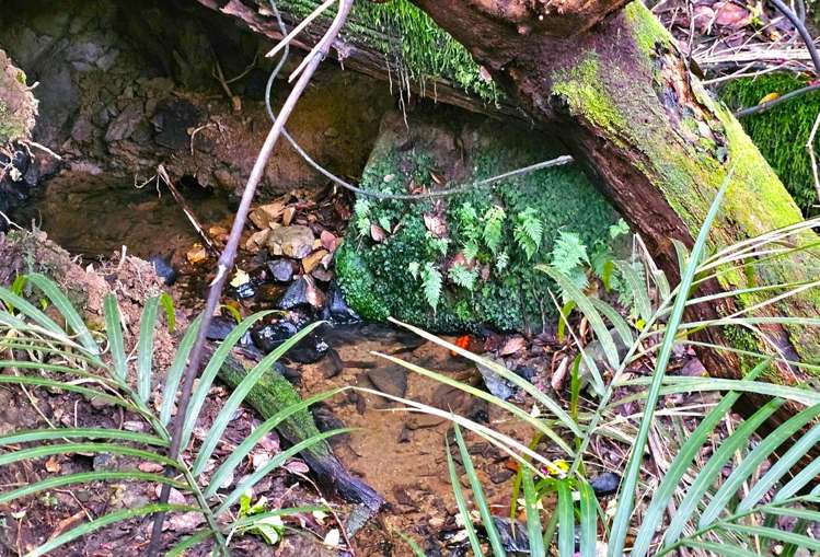 243 Creamery Road Kohukohu_10