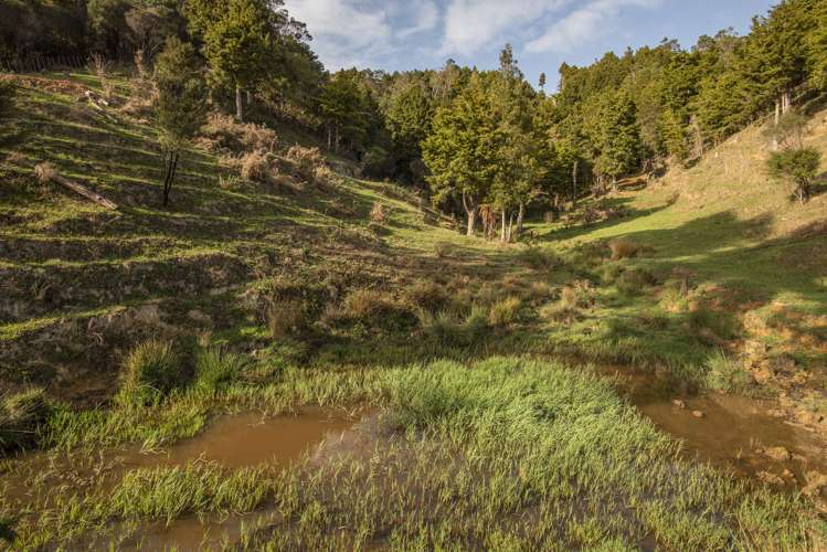 272 Kaiikanui Road Hukerenui and Surrounds_4