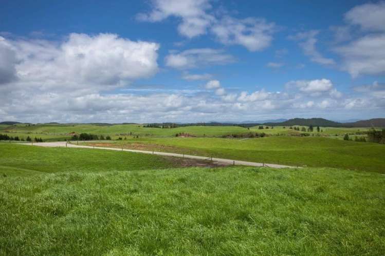 1308 Mossop Road Kinleith_18