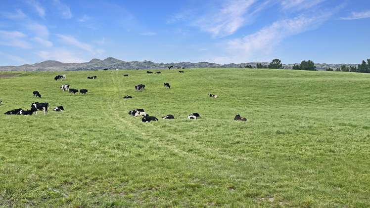 51 Saint Bathans Loop Road Becks_11