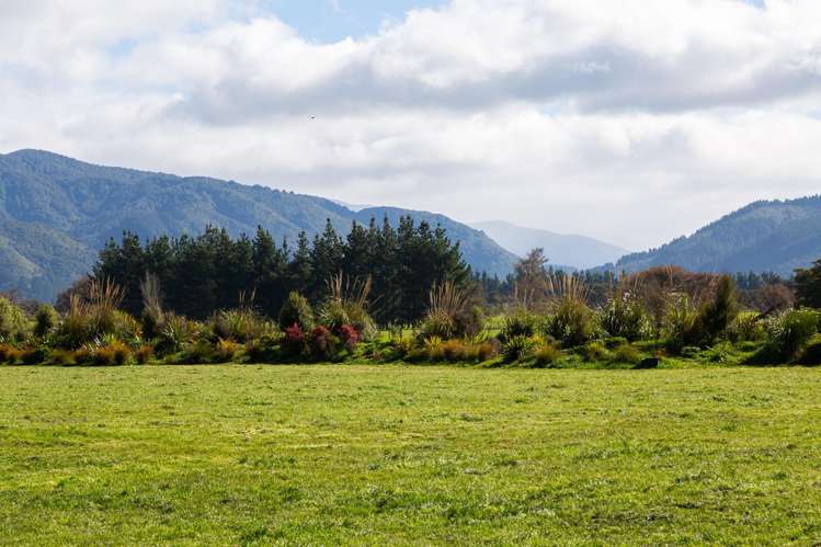 Lot 3/277 Woodside Road Greytown_7