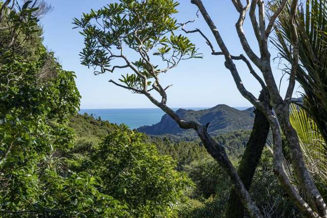 165 Lone Kauri Road Karekare_2