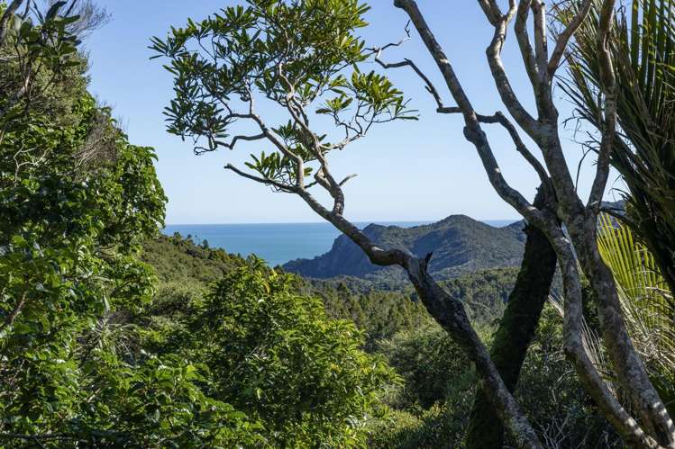 165 Lone Kauri Road_1