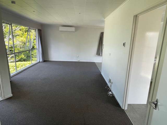 23A Gallony Avenue Massey_2