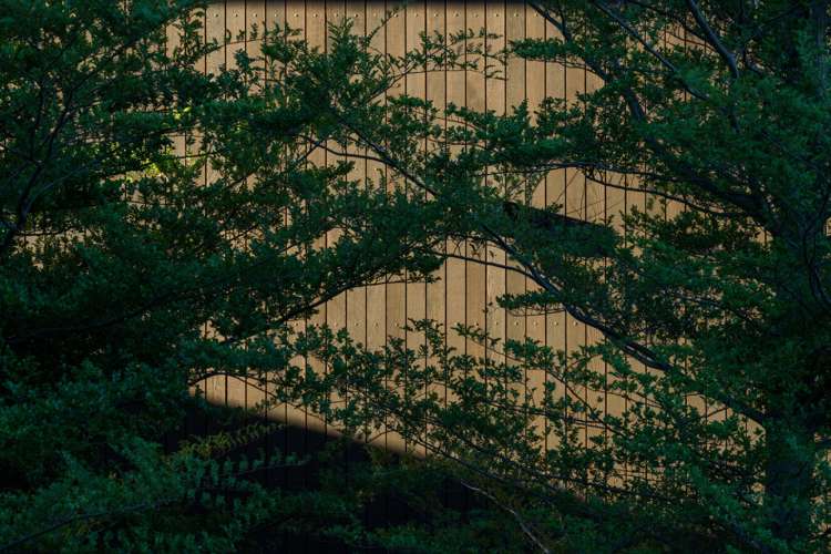 73 West Meadows Drive Wanaka_18