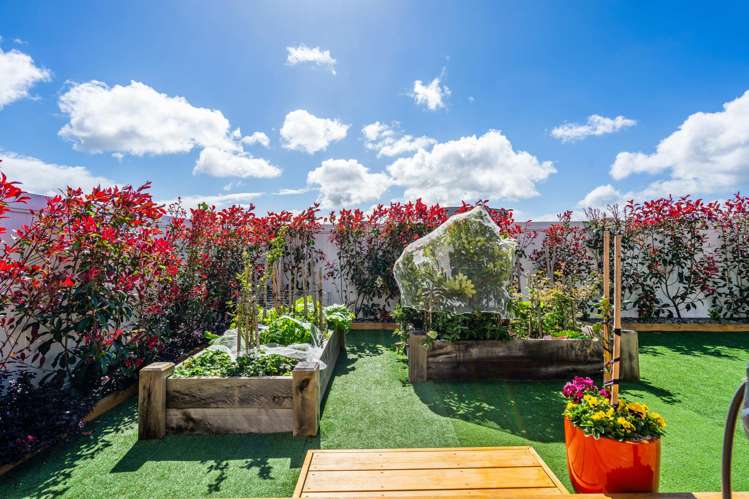 18 Matariki Drive One Tree Point_16
