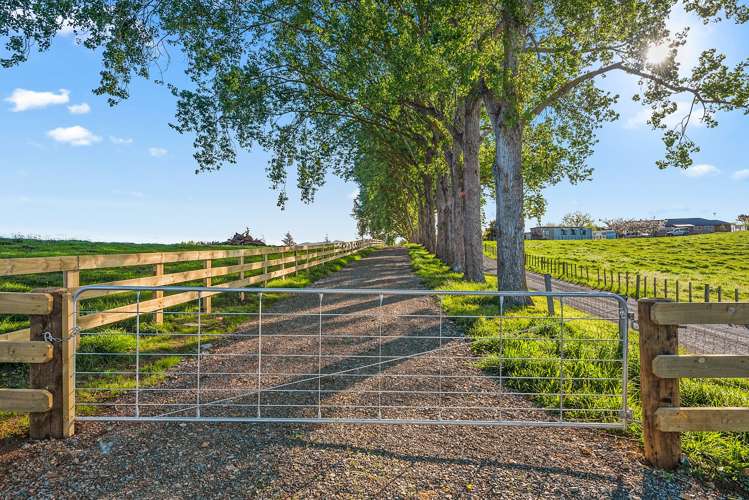 41 Mccandlish Road Ngahinapouri_5