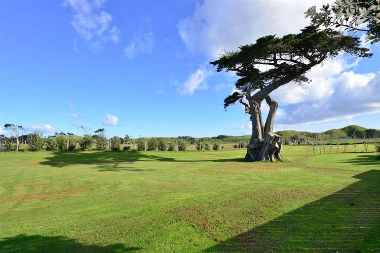 368 Evans Road South Head_19