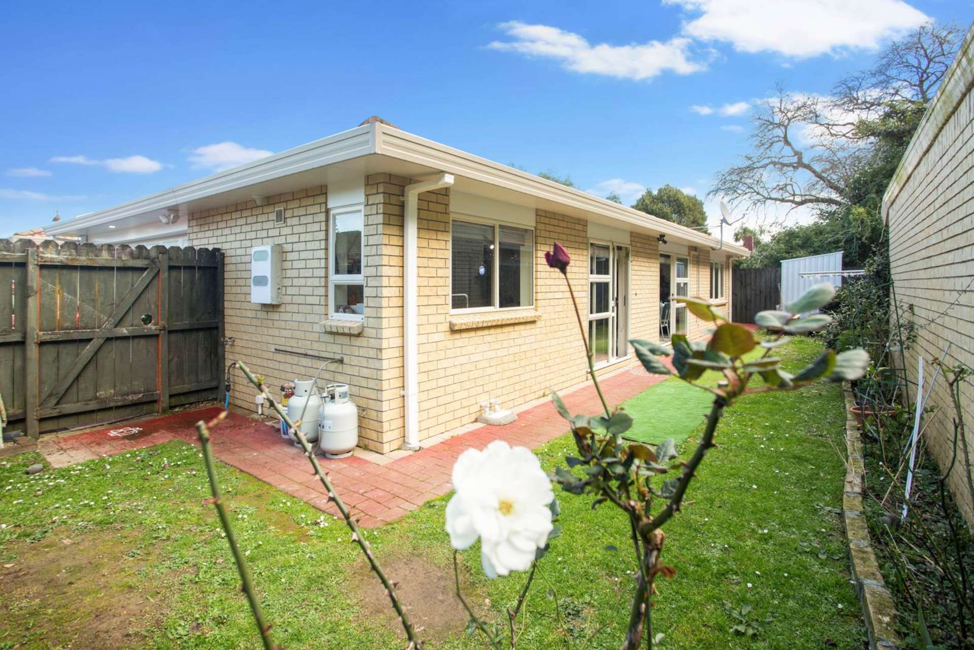 29d Riversdale Road Avondale_0