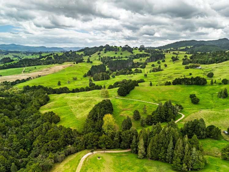 3136 State Highway 1 Umawera_14