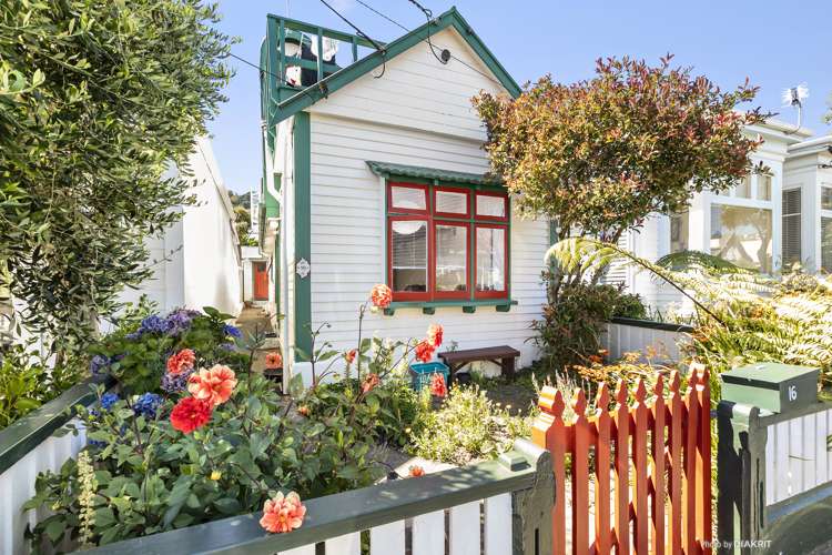 16 Moir Street Mount Victoria_0