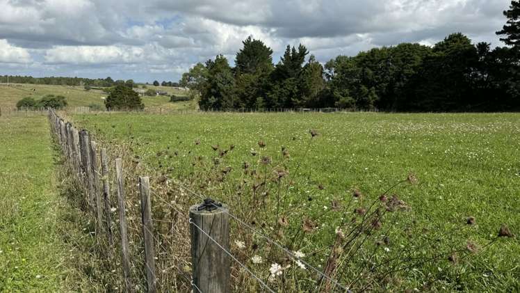 33 Signal Road Okaihau_12