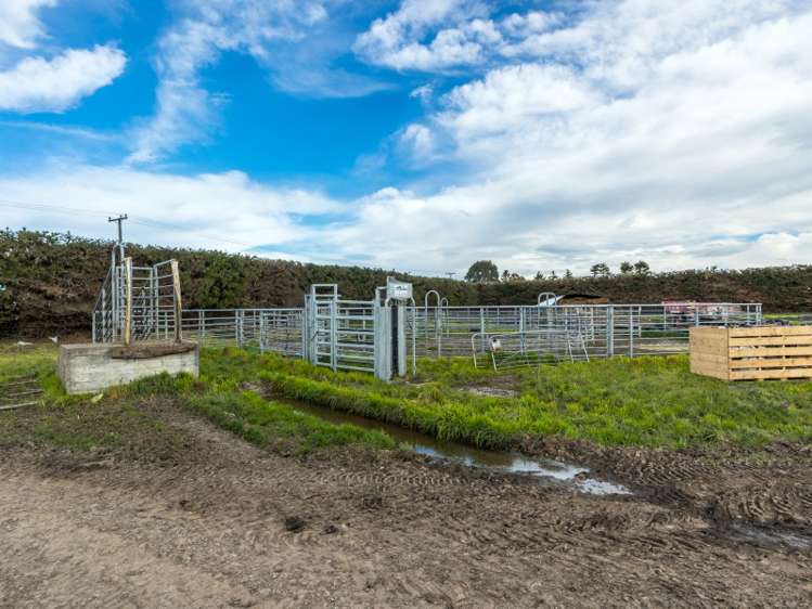 377 Emersons Road Lowcliffe_15