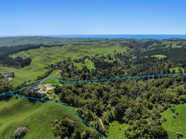 Herepuru Hideaway - Bush Retreat with Ocean Views