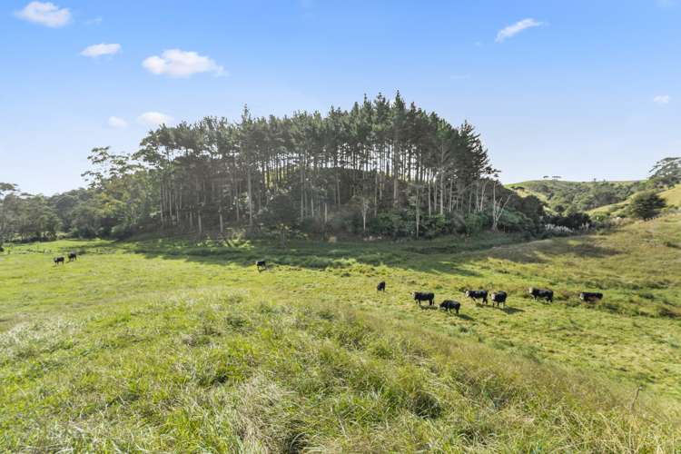 114 Ness Valley Road Ness Valley_14