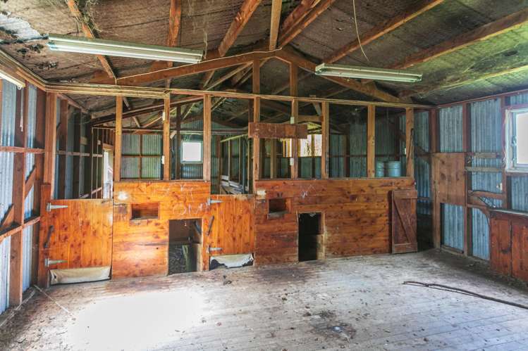 Lot 2-1768 Morrinsville Walton Road Matamata_25