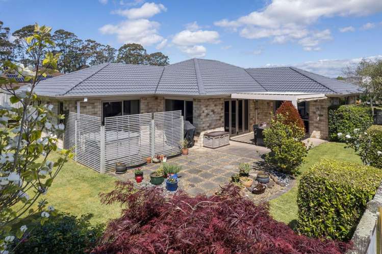 3 Ludlow Place Katikati_8