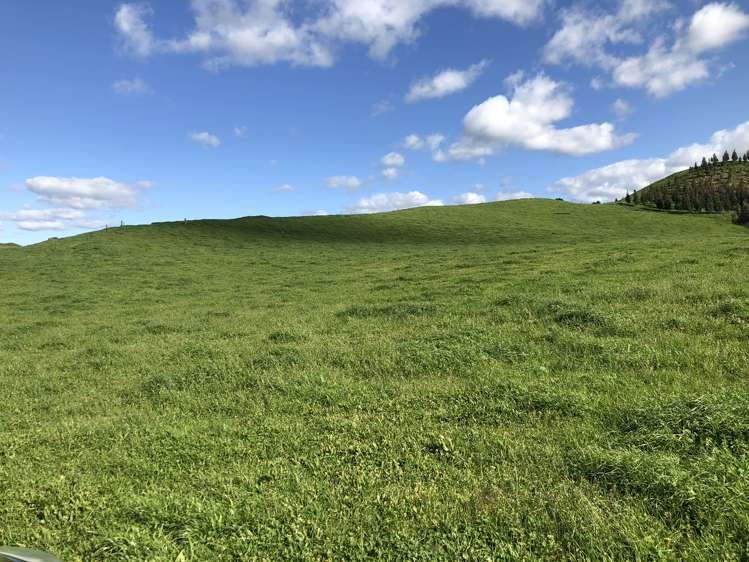 428 Whatauri Road Wharepapa South_19