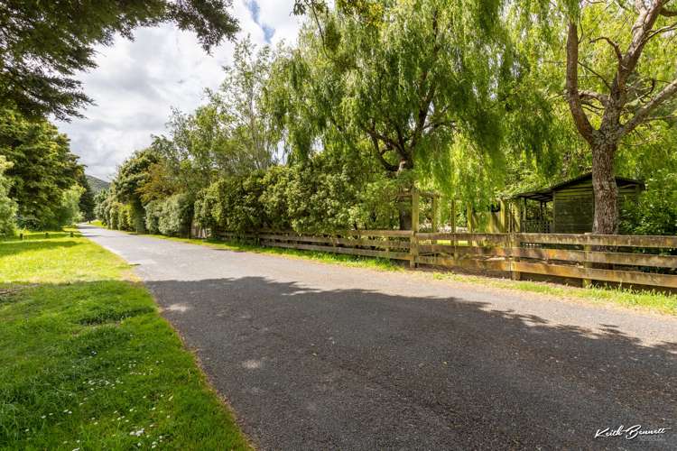 29 Clearwater Terrace Brown Owl_35