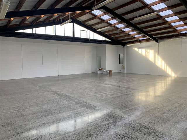 62 Hawdon Street Sydenham_3