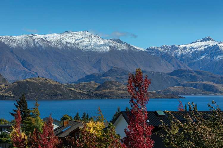 47 Forest Heights Wanaka_5