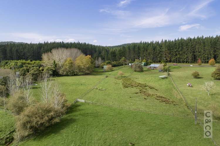 293 Ararimu Valley Road Helensville_39