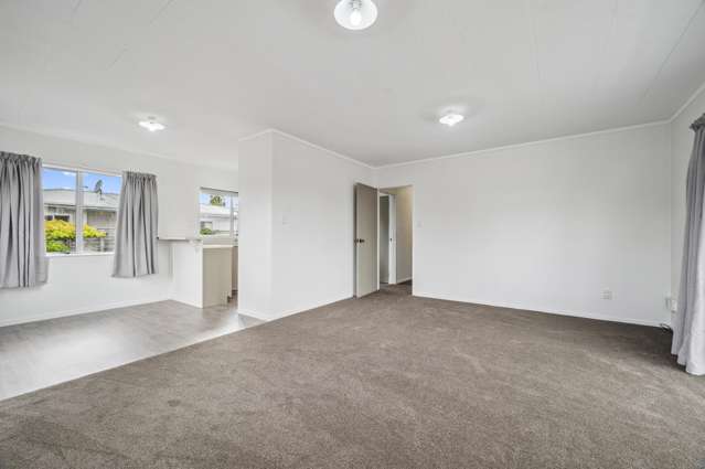 1/53 Rotokawa Street Taupo_2