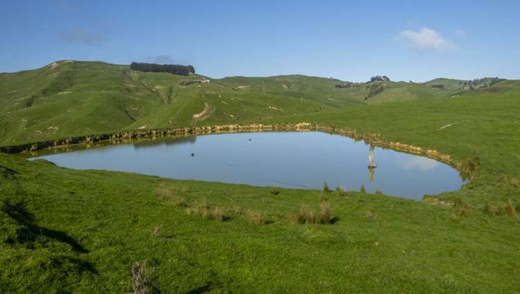 419 Daggs Road Bideford_19