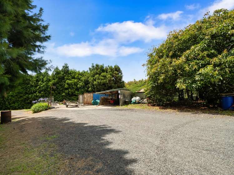 261 Wainui South Road Whakamarama_35