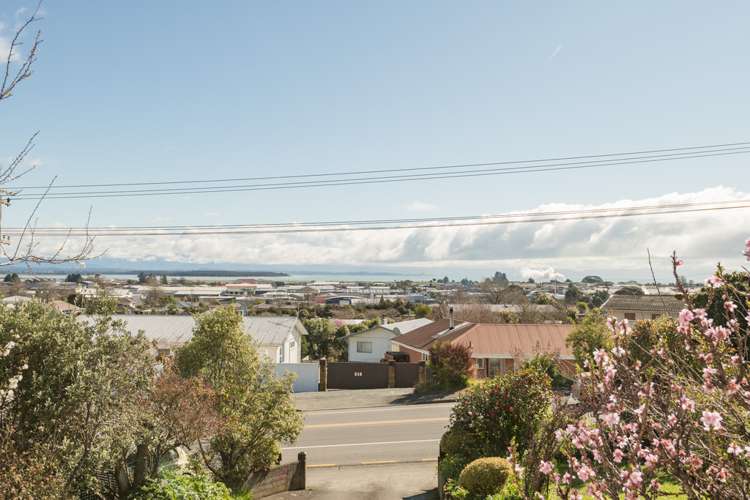 575 Waimea Road Annesbrook_4