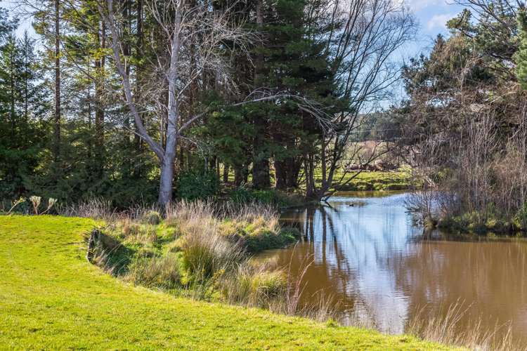 96 Westmere Road Wainuioru_13