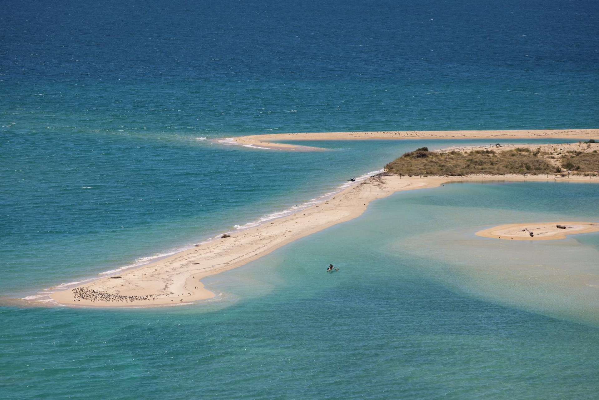 49 Awaroa Inlet Awaroa_0