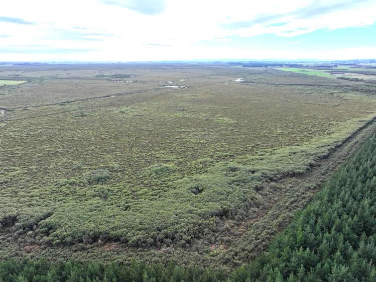 820 Holz Road Gorge Road_14
