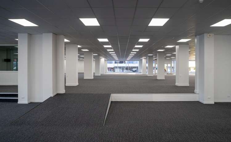 93 Dominion Road Mt Eden_5