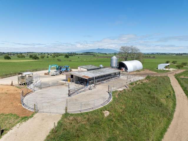 254 Muir Road Te Awamutu_1