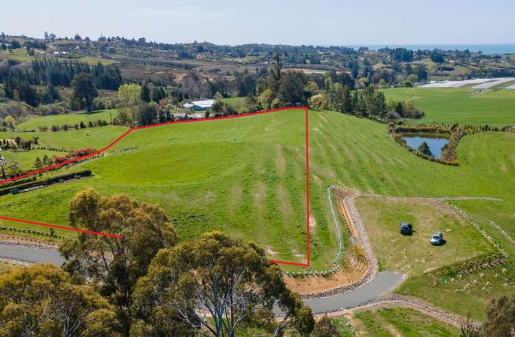 171 Dominion Road Mahana_9