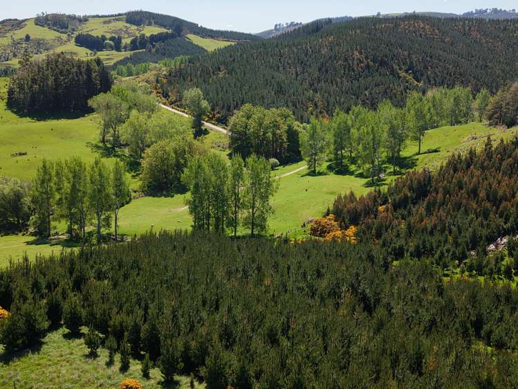 66 Otokia-Kuri Bush Road West Henley_26