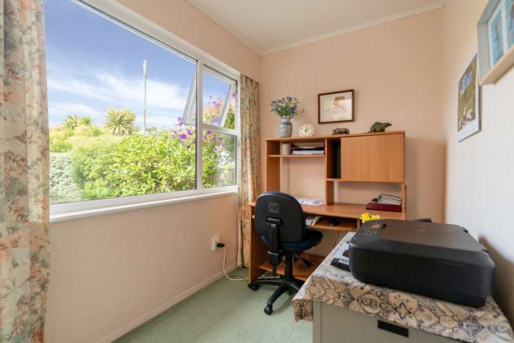 17a Puriri Street Miramar_13