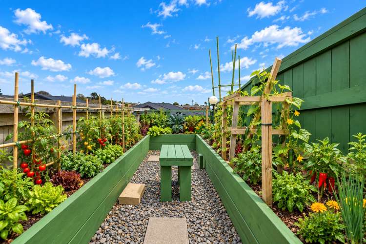 2 Ruba Way Ohauiti_19