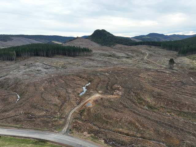 Easy Contoured Forestry Land