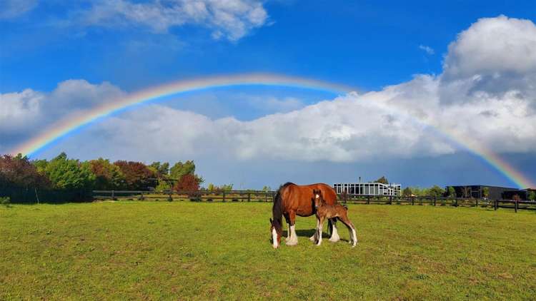 80 Pipitea Drive Rarangi_2