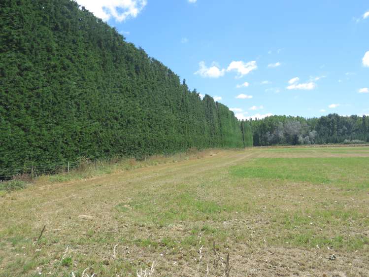 4 Anama Valetta Road Valetta_22