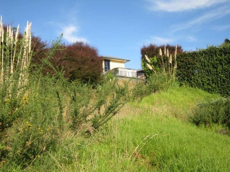 104 Alexander Close Thames_4