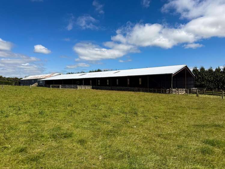 209 Quertier Road Kaiwera_3