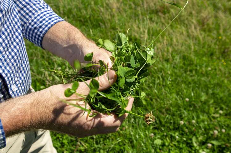 1343 Wharerata Road Muriwai_1