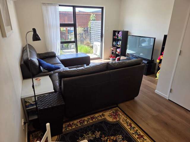 78 Selo Street Glen Eden_4