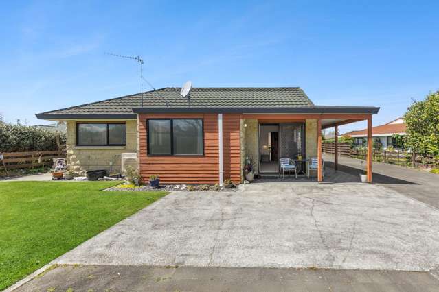 10A Raupo Place Matamata_1