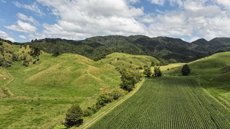 636 Otara Road Opotiki_3